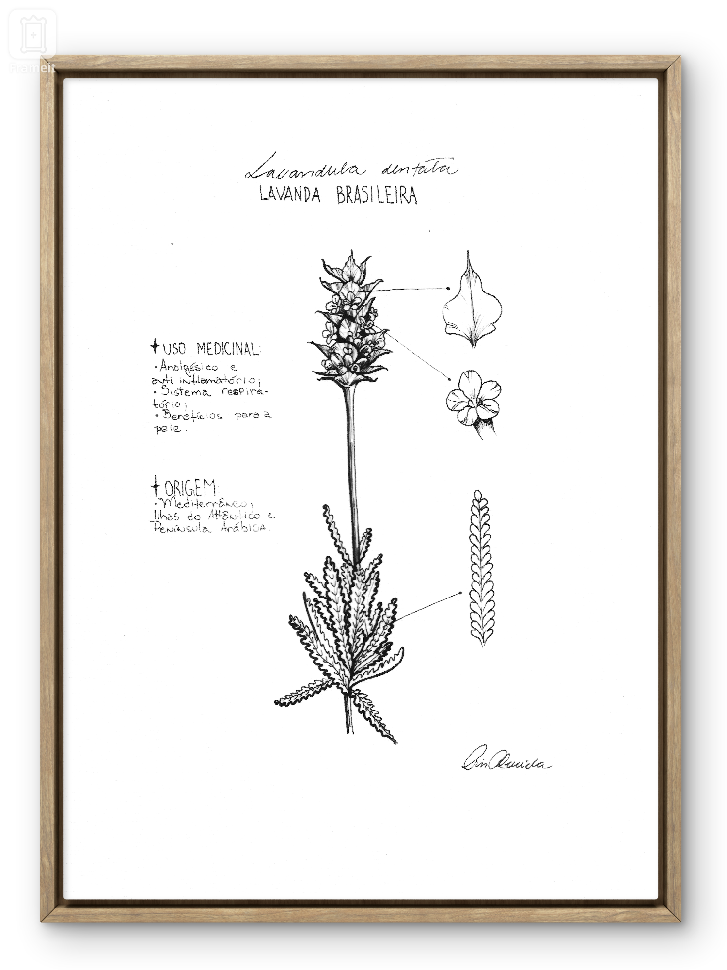 Print Lavanda flor com descrição preto - a gata pintou