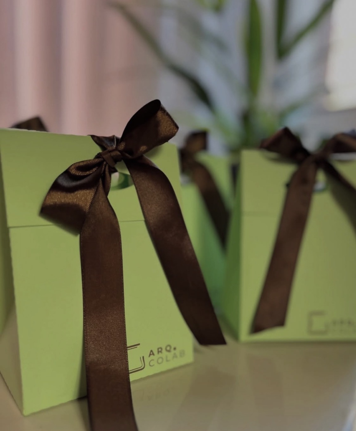 Sacolas Personalizadas